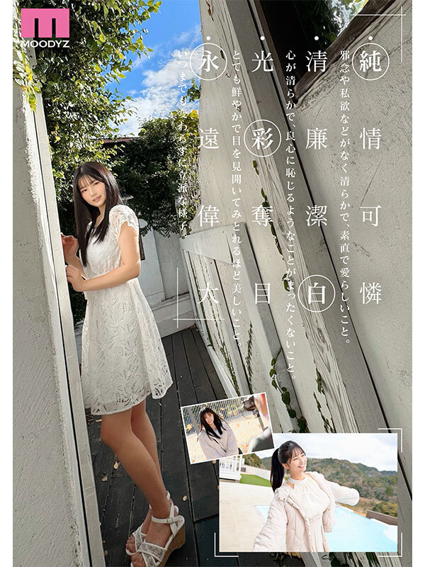 截图 5