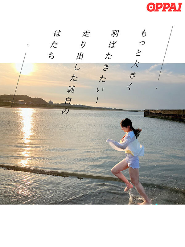 截图 5