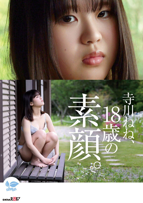 截图 1