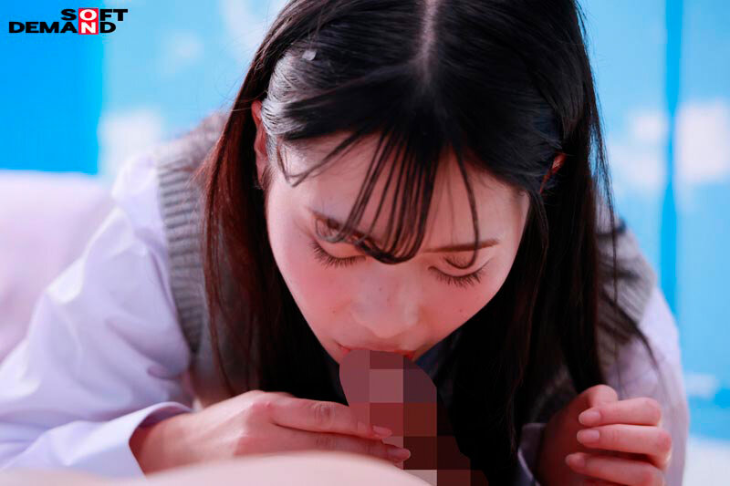 截图 12