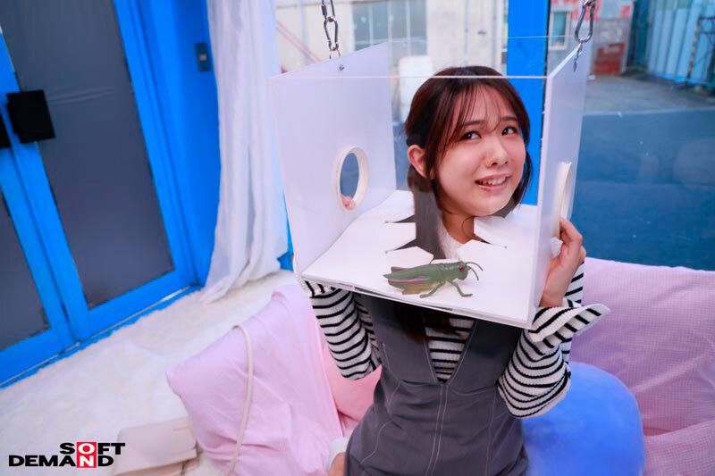 截图 8